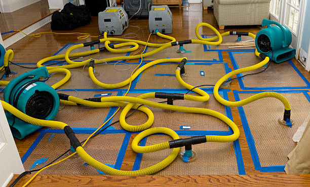 Professional Water Damage Repair technician working in Norton, MA